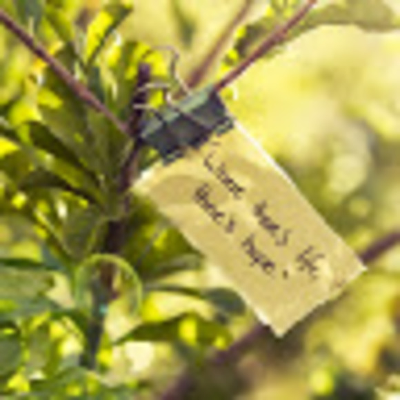 Meet your Posher, Agnes - Picture 1 of 1